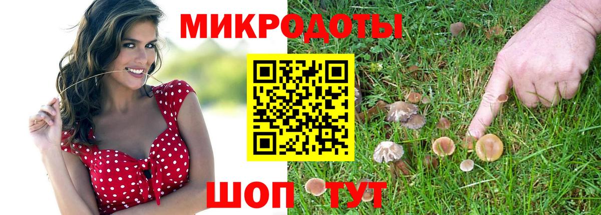 Псилоцибиновые грибы прущие грибы  Вход с VPN  Каспийск 